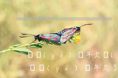 畢業(yè)幾年欠網(wǎng)貸幾萬(畢業(yè)幾年欠了幾萬)