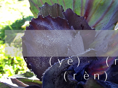 畢業(yè)證認(rèn)證，畢業(yè)證認(rèn)證在哪里認(rèn)證
