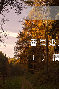 番禺婚姻家庭律師團(tuán)隊(duì)(廣州婚姻案件律師事務(wù)所)