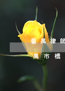 番禺律師事務(wù)所哪個(gè)好(番禺市橋律師事務(wù)所哪里比較好)