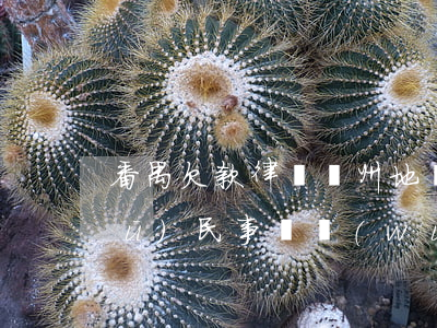 番禺欠款律師（廣州地區(qū)番禺區(qū)民事債務(wù)律師）