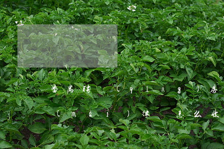 番禺聘請(qǐng)房屋買(mǎi)賣(mài)律師怎么收費(fèi)(房屋買(mǎi)賣(mài)律師咨詢免費(fèi))