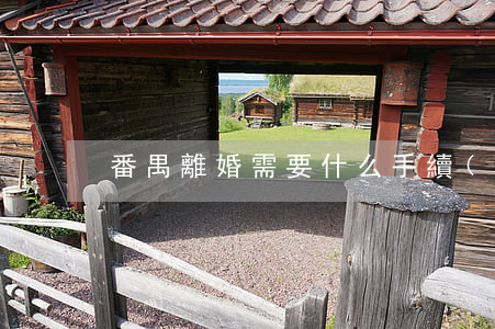 番禺離婚需要什么手續(xù)