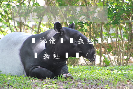 異地借錢該去起訴費(fèi)地 異地借錢該去起訴費(fèi)地