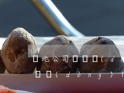 異地公司無勞動(dòng)合同在本地能勞動(dòng)仲裁嗎