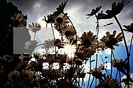 異地公安凍結銀行律師(異地經偵凍結銀行帳號,需要去當地處理嗎)