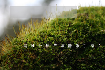 異地分居三年離婚手續(xù)怎么辦