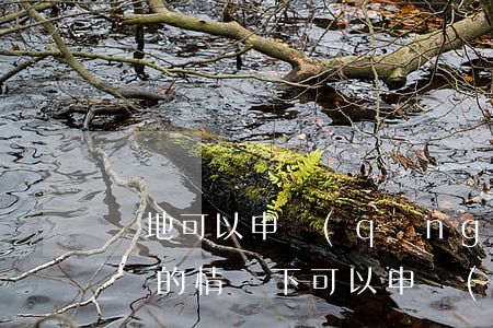 異地可以申請(qǐng)法律援助嗎(什么樣的情況下可以申請(qǐng)法律援助)