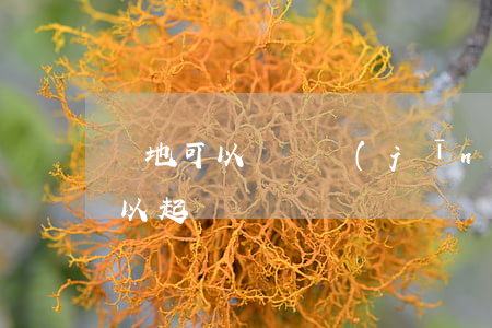 異地可以訴訟經(jīng)濟案嗎(異地可以起訴)