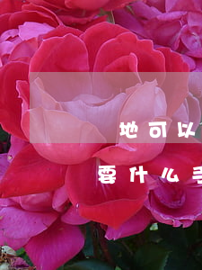 異地可以辦理護照嗎(異地可以辦理護照嗎需要什么手續)