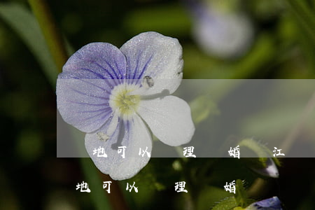 異地可以辦理離婚嗎(江蘇省內(nèi)異地可以辦理離婚嗎)