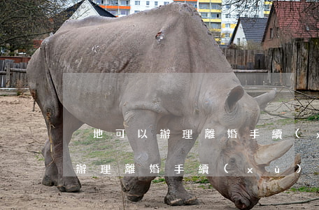 異地可以辦理離婚手續(xù)嗎(異地可以辦理離婚手續(xù)嗎)