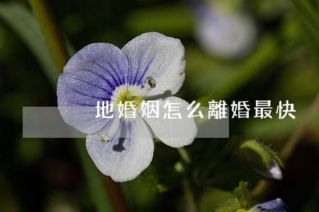 異地婚姻怎么離婚最快(異地離婚怎么離最快)