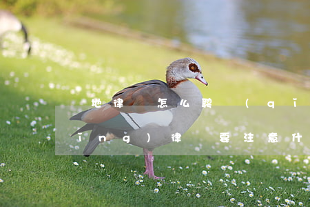 異地律師怎么聘請(qǐng)(異地請(qǐng)律師要注意什么)