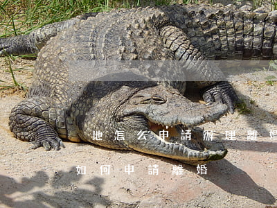 異地怎么申請辦理離婚手續(xù)(在異地如何申請離婚)