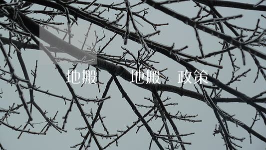 異地搬遷，異地搬遷政策