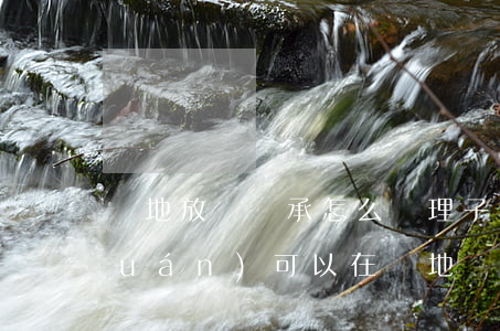 異地放棄繼承怎么處理(子女放棄繼承權(quán)可以在異地辦理手續(xù)嗎)
