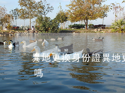 異地更換身份證(異地更換身份證需要戶口本嗎)