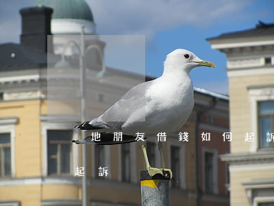 異地朋友借錢如何起訴-異地朋友借錢如何起訴