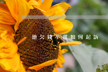 異地欠錢不還如何起訴,異地起訴欠款 異地欠錢不還如何起訴,異地起訴欠款