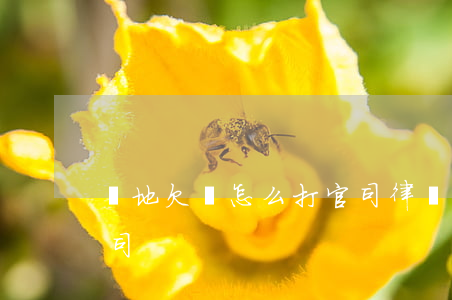 異地欠錢怎么打官司律師（異地欠錢怎么打官司）