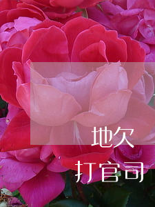 異地欠錢打官司訴訟費(fèi)(異地欠錢打官司訴訟費(fèi))