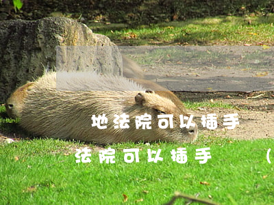 異地法院可以插手債務(wù)糾紛嗎(異地法院可以插手債務(wù)糾紛嗎)