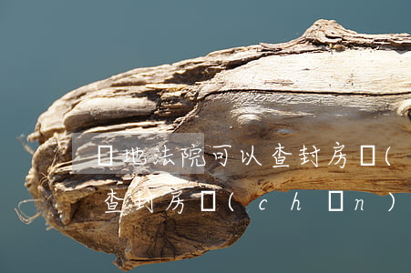 異地法院可以查封房產(chǎn)嗎(法院查封房產(chǎn),異地的能查出來嗎)