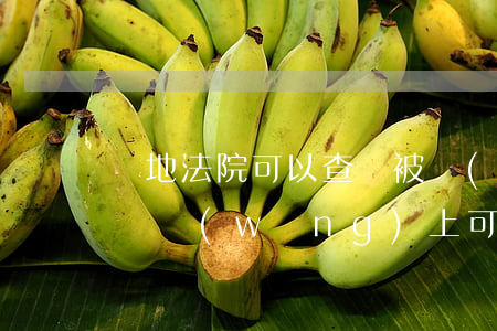 異地法院可以查詢被執(zhí)行人信息嗎(網(wǎng)上可以查到被執(zhí)行人信息嗎)