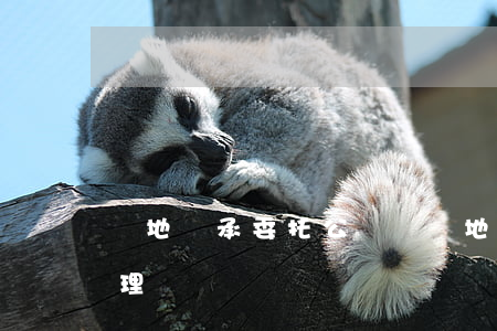 異地繼承委托公證嗎(異地公證委托書怎么辦理)