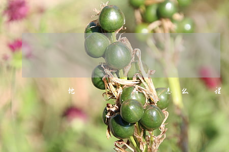 異地臨時身份證怎么辦理
