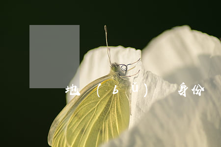 異地補(bǔ)辦身份證流程