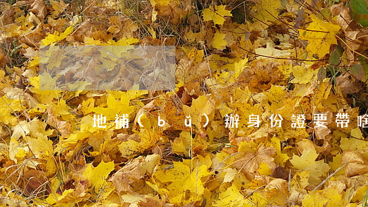 異地補(bǔ)辦身份證要帶啥