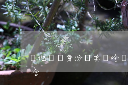 異地補辦身份證要帶啥(異地補辦身份證要帶啥)