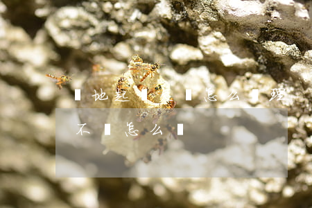 異地起訴欠錢怎么處理-異地欠款起訴對方不來怎么辦