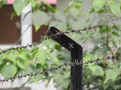 異地起訴欠錢流程可以凍結(jié)財產(chǎn)嗎-異地起訴欠錢流程可以凍結(jié)財產(chǎn)嗎怎么辦