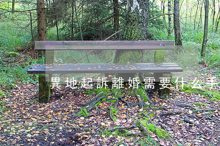 異地起訴離婚需要什么手續(xù)