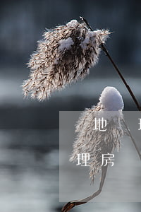 異地辦理房產(chǎn)委托公證(異地辦理房產(chǎn)委托公證需要什么材料)
