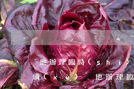異地辦理臨時(shí)身份證需要什么手續(xù)(異地辦理臨時(shí)身份證需要什么手續(xù))