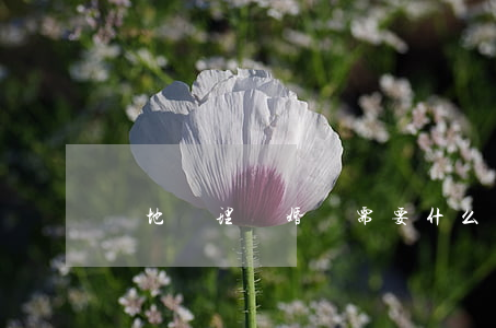異地辦理離婚證需要什么手續(xù)
