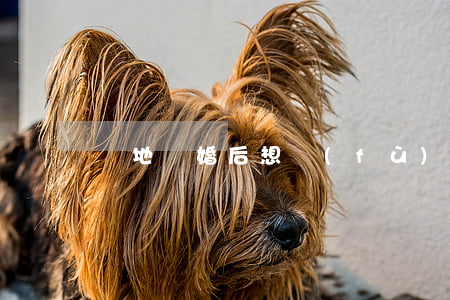 異地離婚后想復(fù)合怎么辦