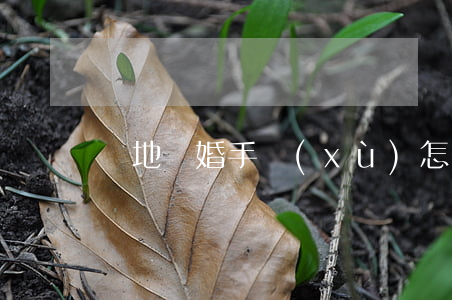 異地離婚手續(xù)怎么辦理