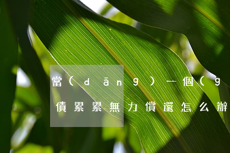 當(dāng)一個(gè)人負(fù)債累累無力償還怎么辦-當(dāng)一個(gè)人負(fù)債累累無力償還怎么辦呢