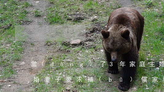 當(dāng)了3年家庭主婦，丈夫提出離婚，妻子要求補(bǔ)償家務(wù)費(fèi)！法院判了