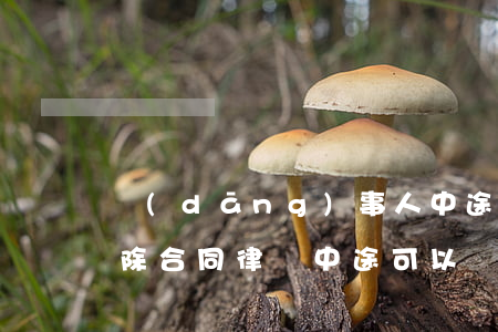 當(dāng)事人中途可以換律師如何解除合同(律師中途可以換人嗎)