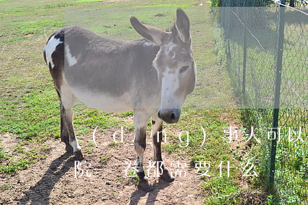當(dāng)事人可以去法院閱卷嗎(到法院閱卷都需要什么)
