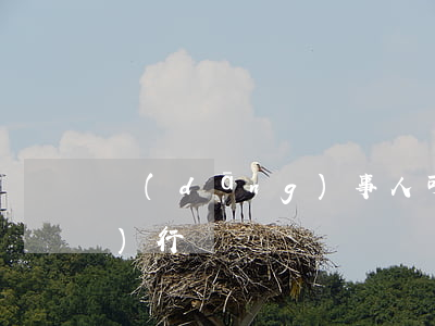 當(dāng)事人可以定不能進(jìn)行訴訟嗎
