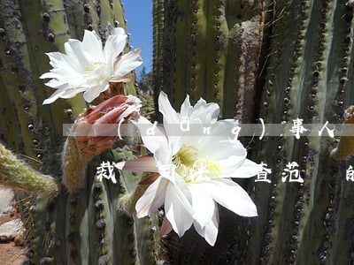 當(dāng)事人對(duì)涉外仲裁裁決司法審查范圍的合意變更