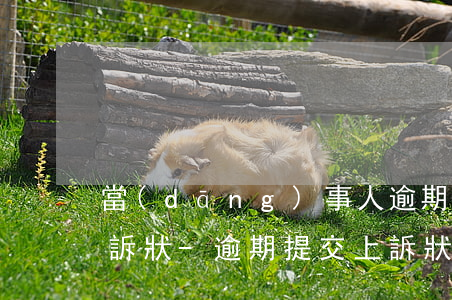 當(dāng)事人逾期向一審法院遞交上訴狀-逾期提交上訴狀