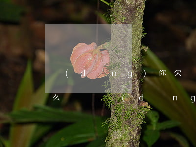 當(dāng)你欠銀行三個月的時候會怎么樣-當(dāng)你欠銀行三個月的時候會怎么樣呢